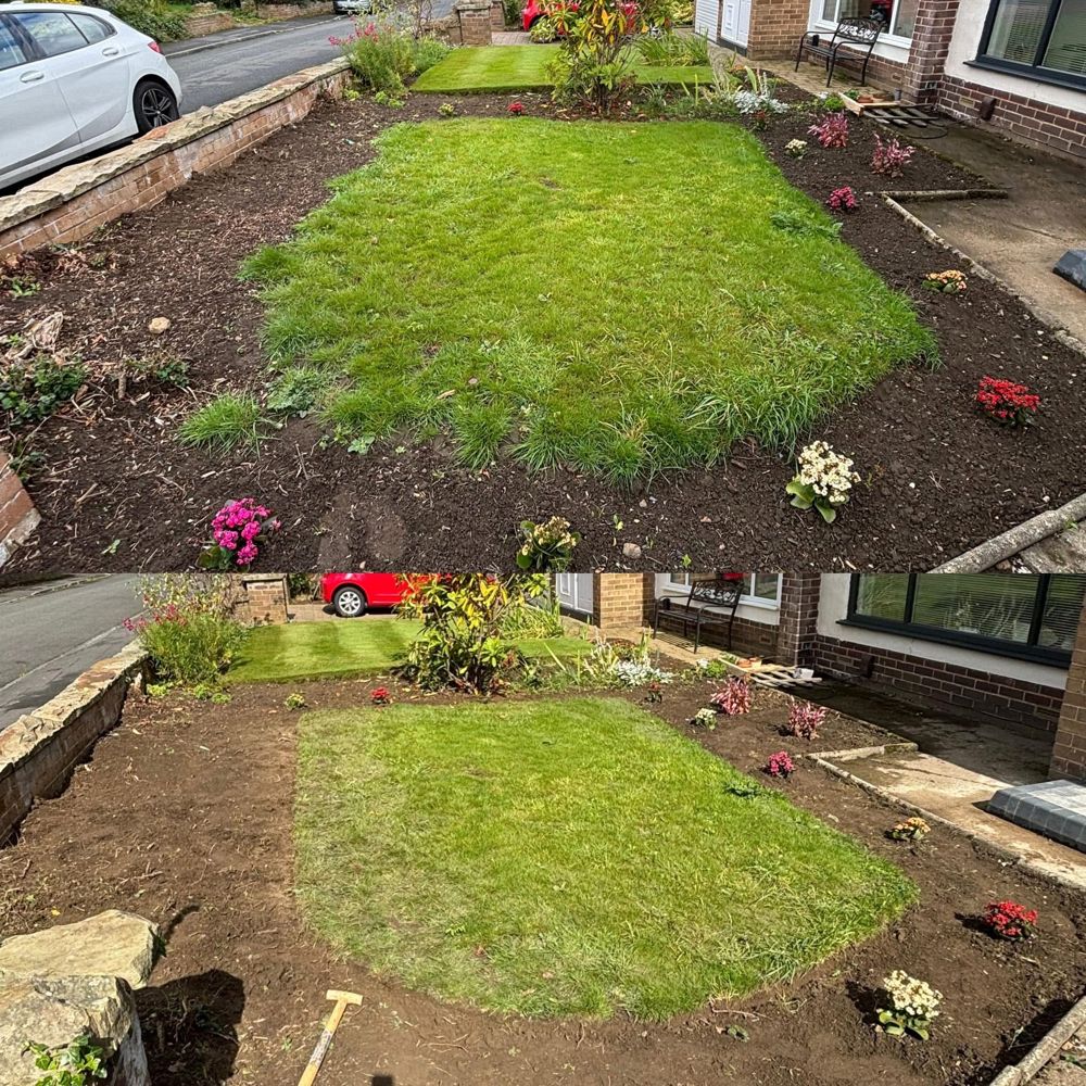 Front garden before and after new turf