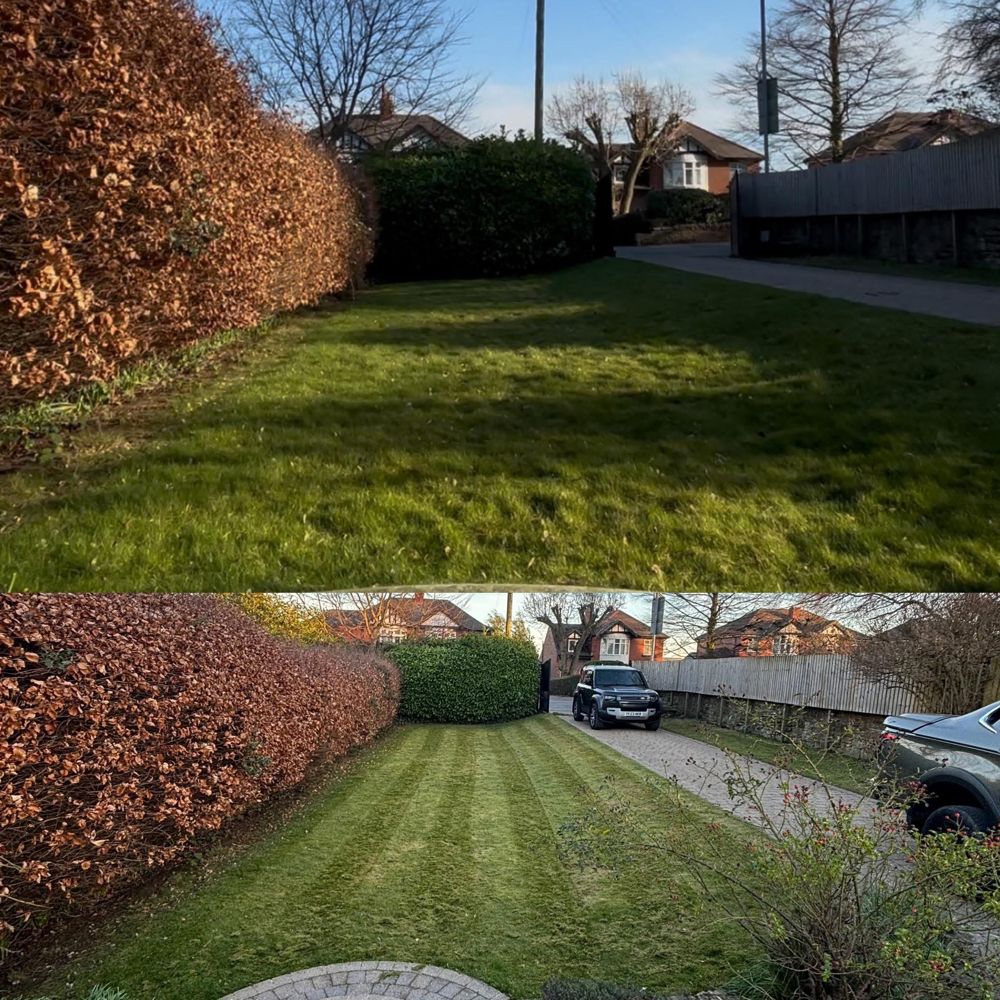 Hedge and lawn before and after